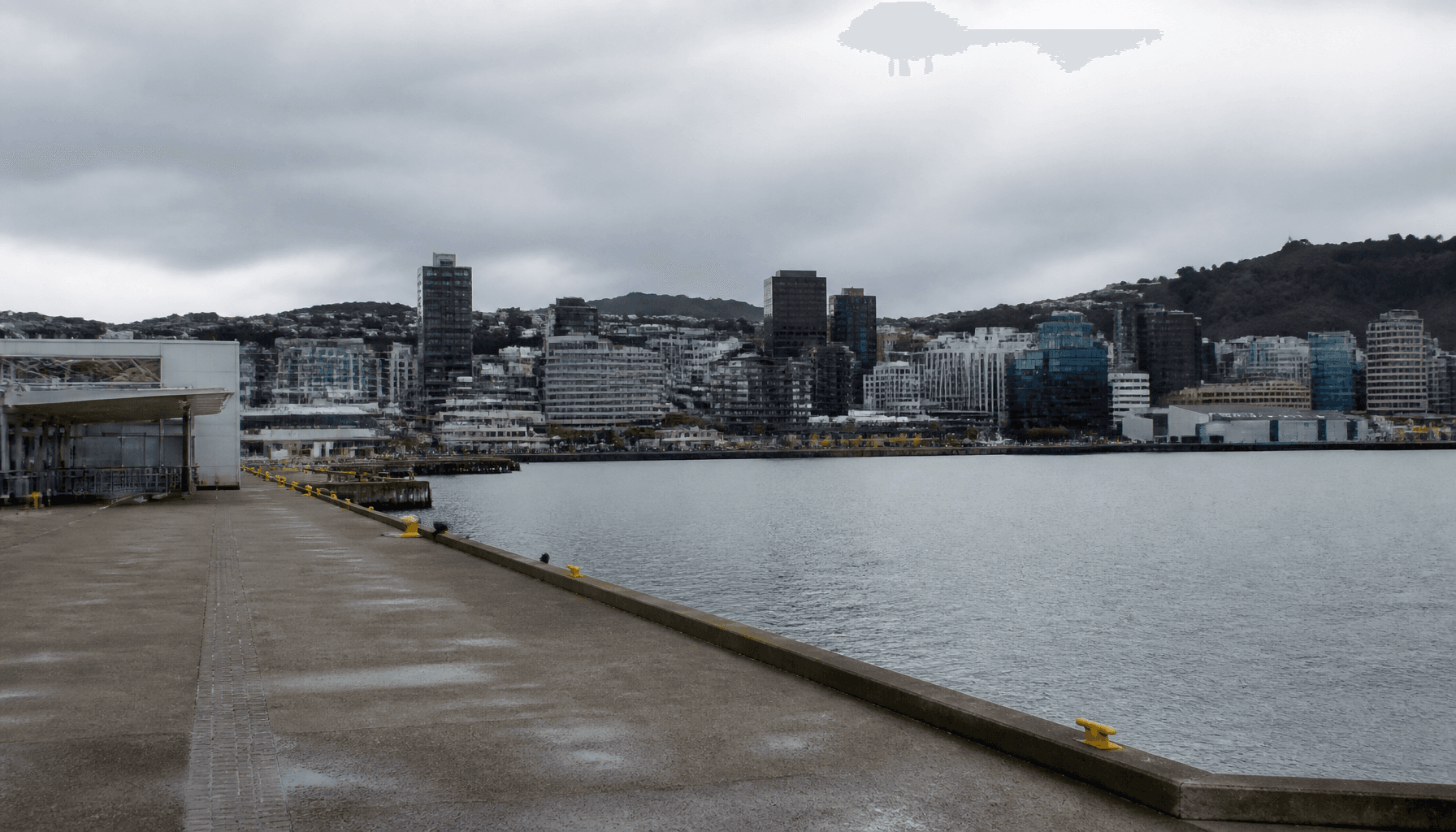 Wellington CBD office towers across the harbour under overcast sky