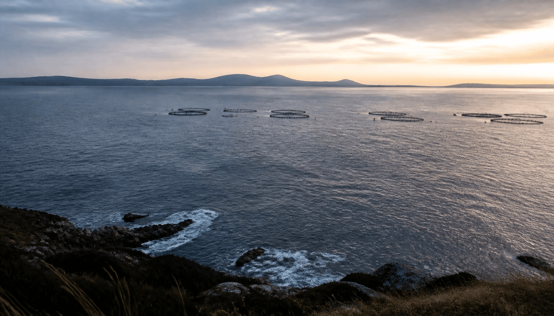 Open ocean off a southern New Zealand coast with distant island hills