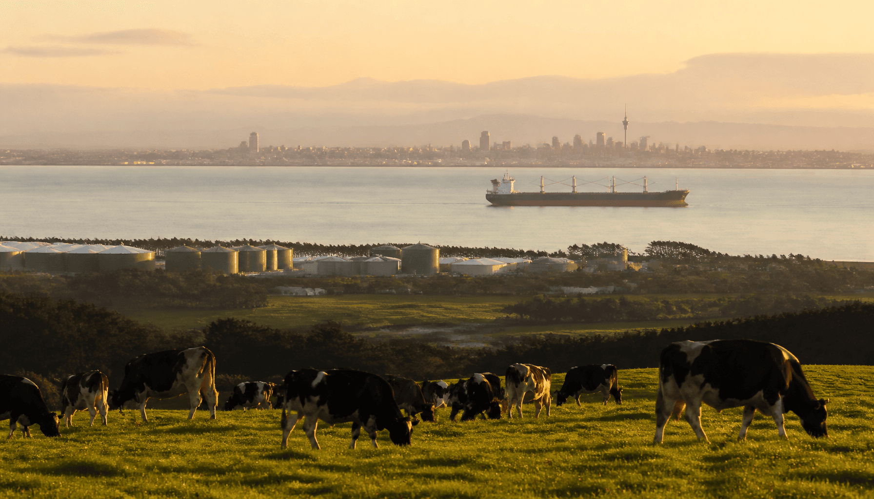 South Island farmland and harbour shipping illustrating uneven regional recovery